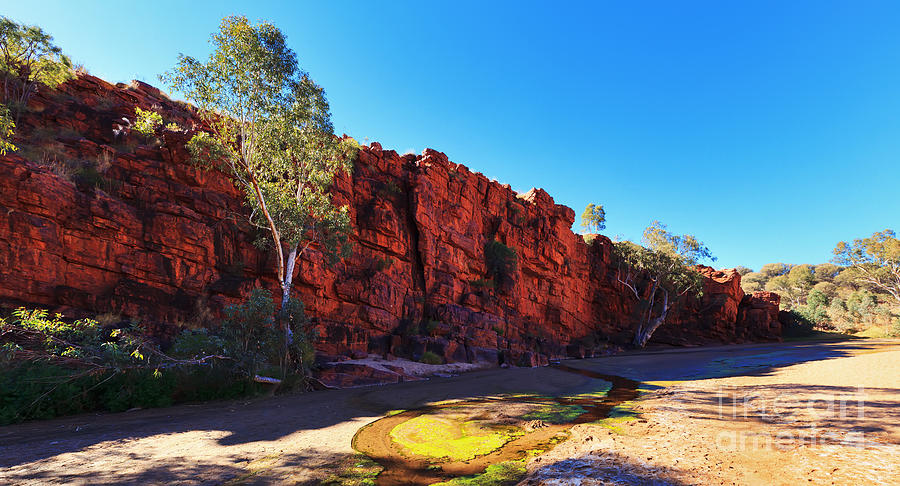 Trephina Gorge Photograph by Bill  Robinson