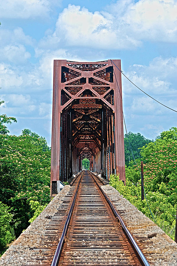 Tressel Photograph By Larry Primeaux - Fine Art America