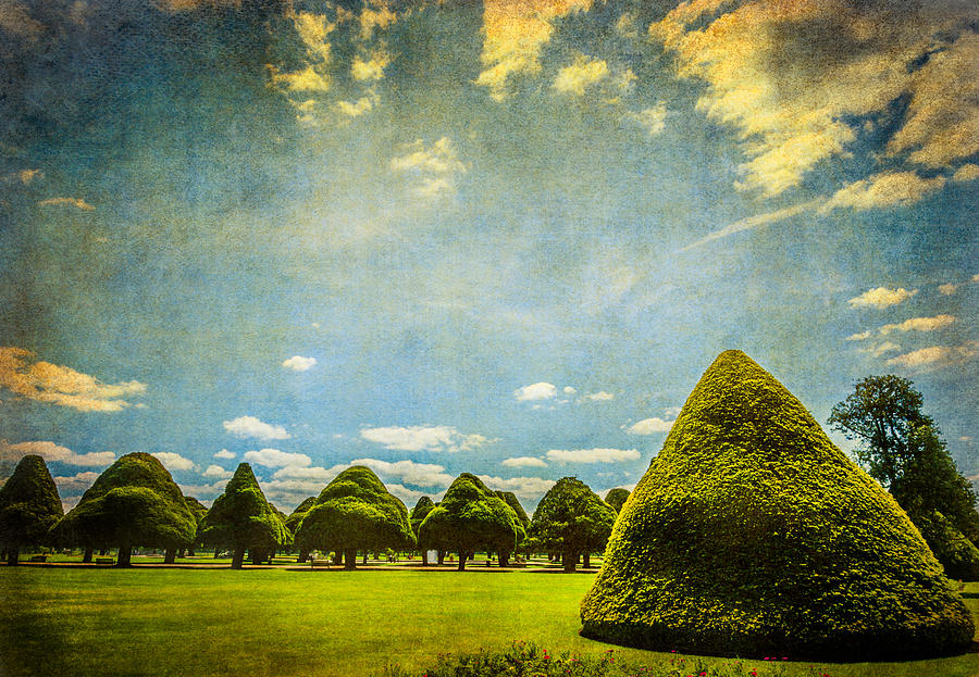 Triangular Trees 001 Photograph by Lenny Carter