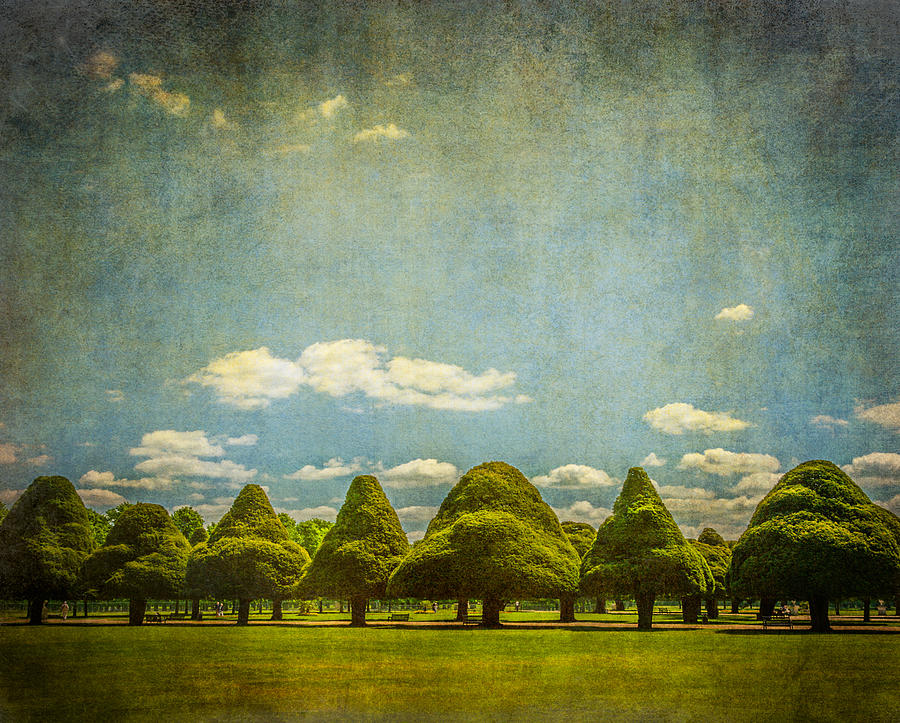 Triangular Trees 003 Photograph by Lenny Carter