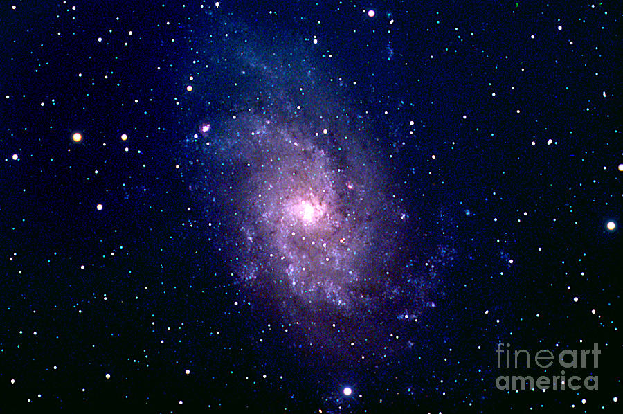 Triangulum Galaxy M33 Photograph by John Chumack