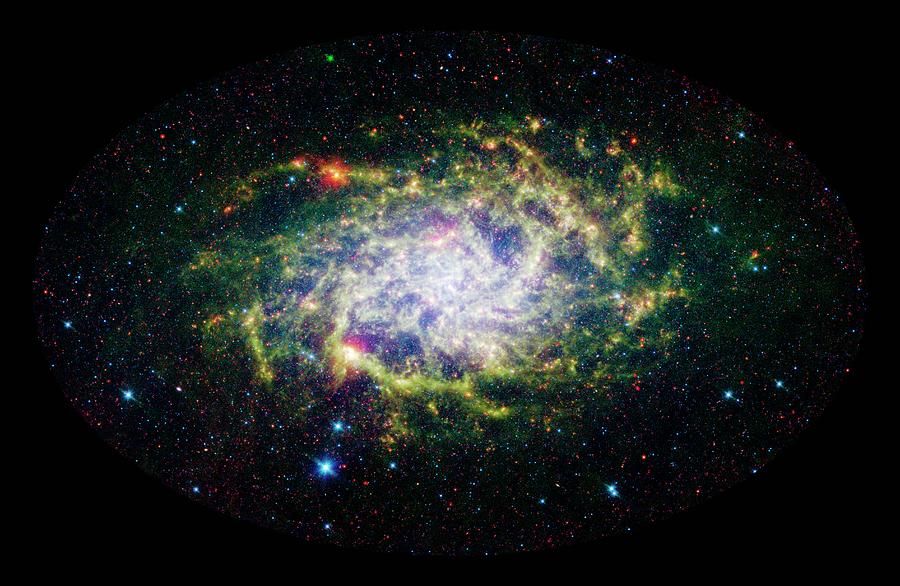 Triangulum Galaxy (m33) Photograph by Nasa/jpl-caltech/science Photo Library