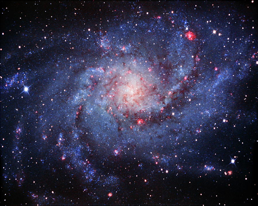 Space Photograph - Triangulum Galaxy by Tony & Daphne Hallas/science Photo Library