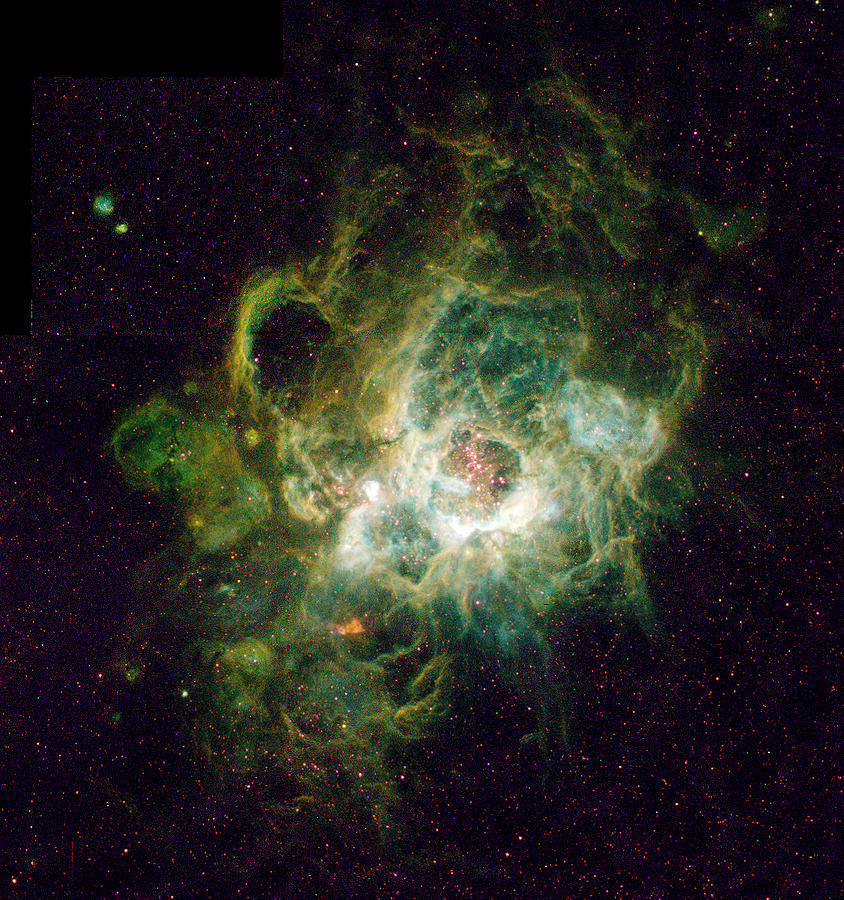 Triangulum nebula Photograph by Celestial Images