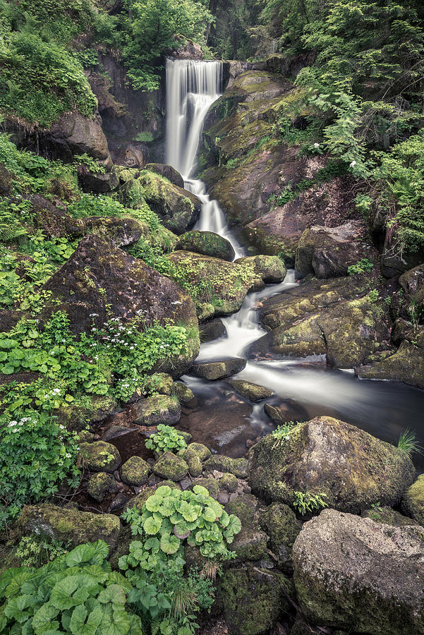 Triberg Waterfall Photograph by Alexander Kunz