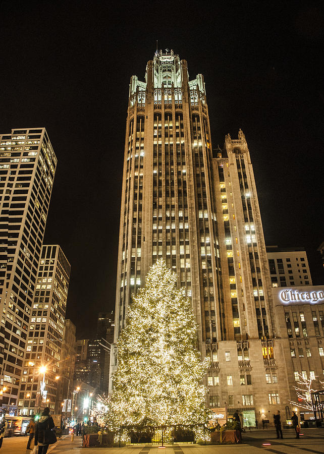 Tribune Plaza at Christmas Photograph by Roger Lapinski
