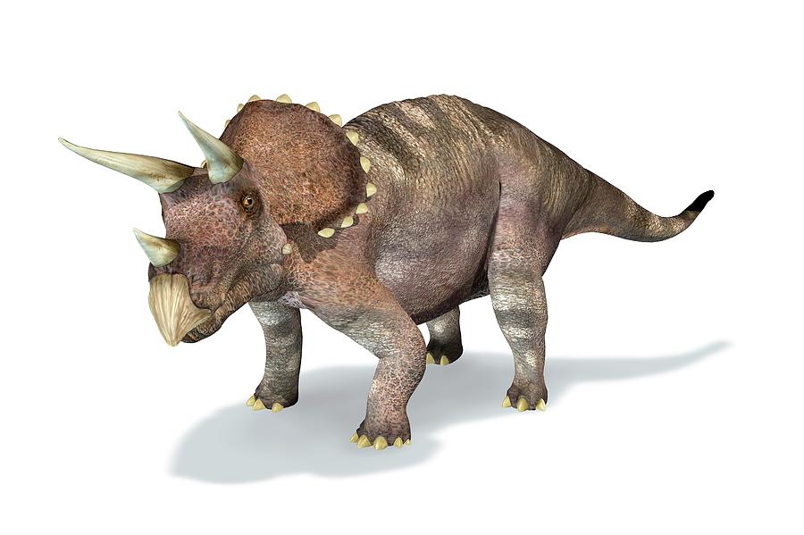 Dinosaur Digital Art - Triceratops Dinosaur, Artwork by Leonello Calvetti