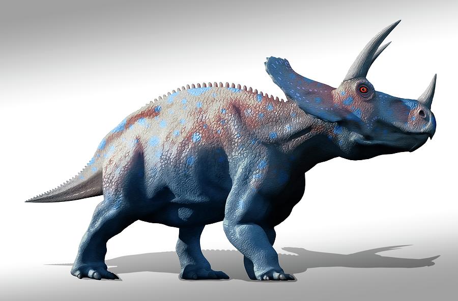 Prehistoric Photograph - Triceratops Dinosaur by Mark Garlick