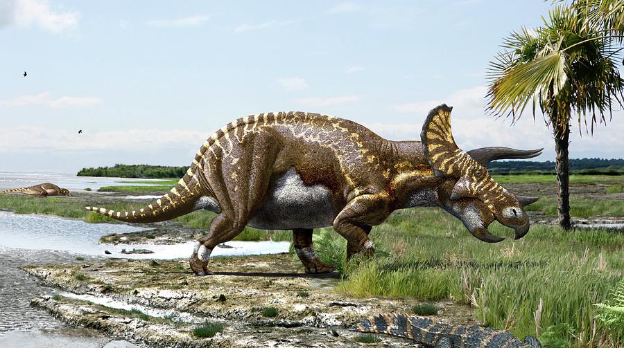 similar dinosaurs to triceratops