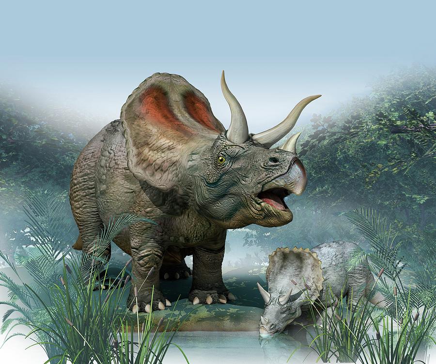 Prehistoric Photograph - Triceratops Old And Young by Mikkel Juul Jensen
