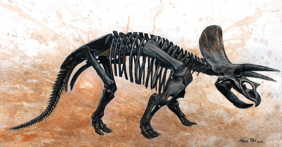 Dinosaur Painting - Triceratops skeleton by Harm  Plat