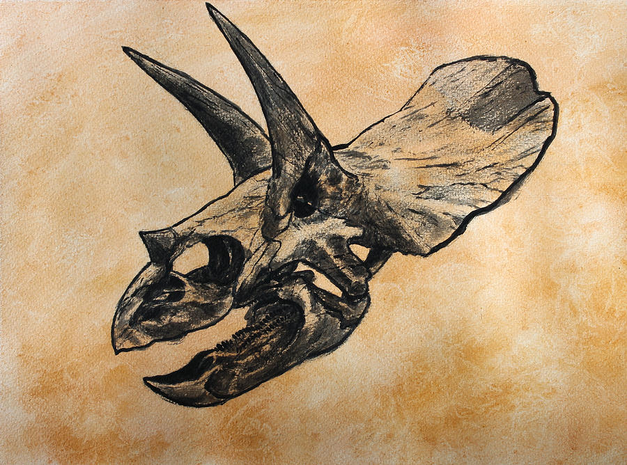 Dinosaur Painting - Triceratops skull by Harm  Plat