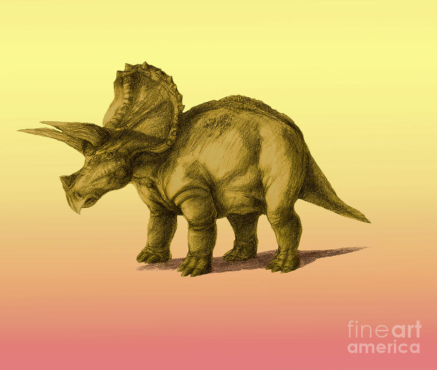 Dinosaur Photograph - Triceratops by Spencer Sutton