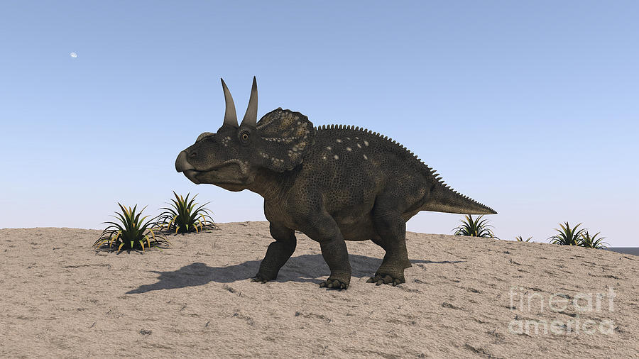 triceratops walking