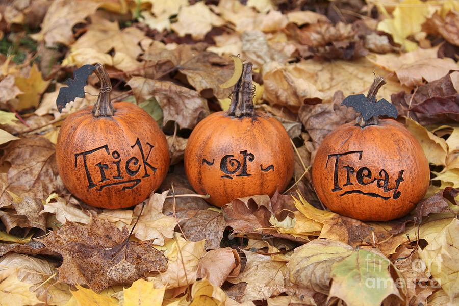 Trick or Treat Photograph by Karin Pinkham