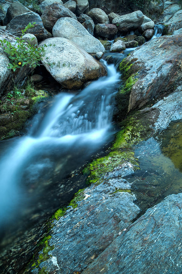 Trickling River Photograph