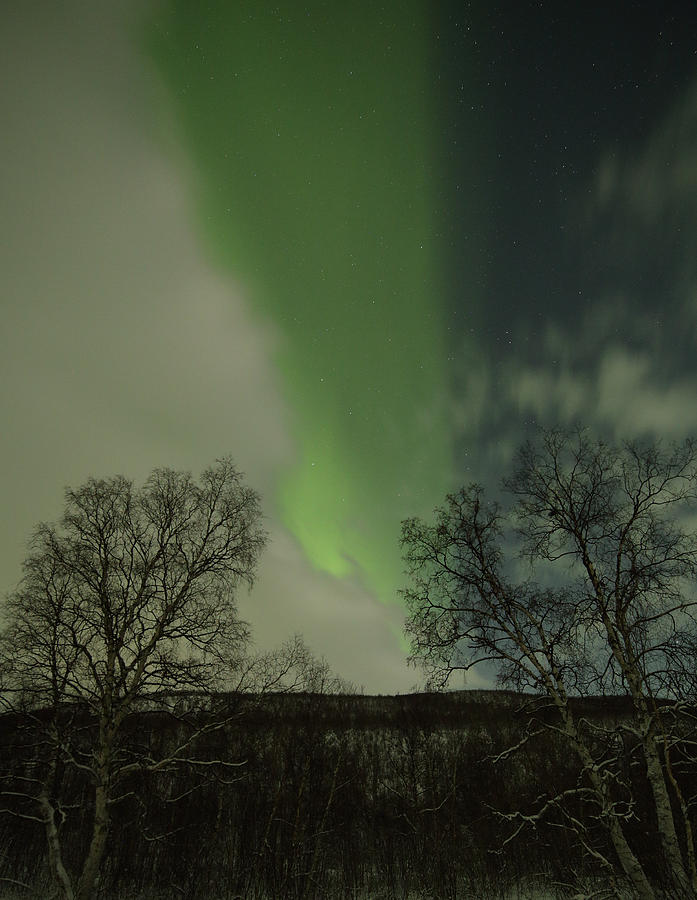 Tricolor in the Sky Photograph by Pekka Sammallahti