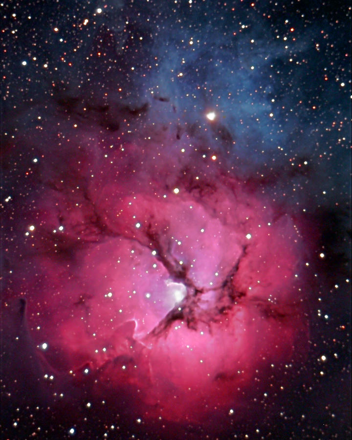 Trifid Nebula Photograph by Jason T. Ware