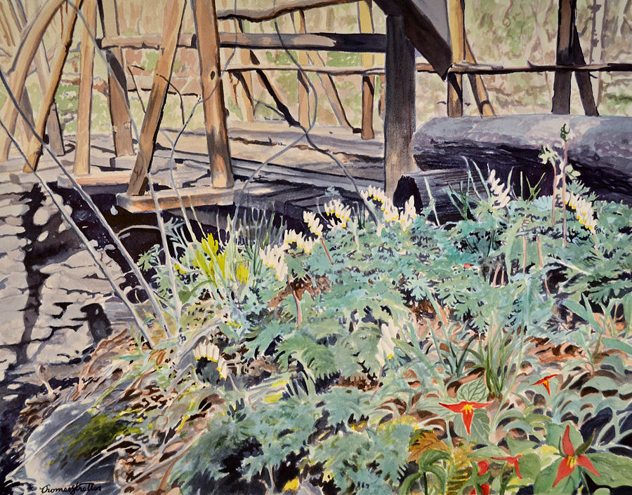 Flowers Painting - Trillium Bridge by Thomas Stratton Flowers Painting - Trillium Bridge by Thomas Stratton