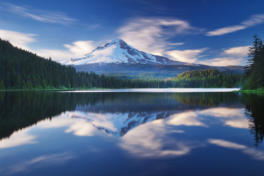 Mountain Photograph - Trillium Escape by Darren White