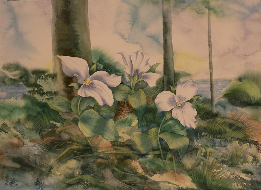 Trillium Painting - Trillium by Heather Gallup Trillium Painting - Trillium by Heather Gallup