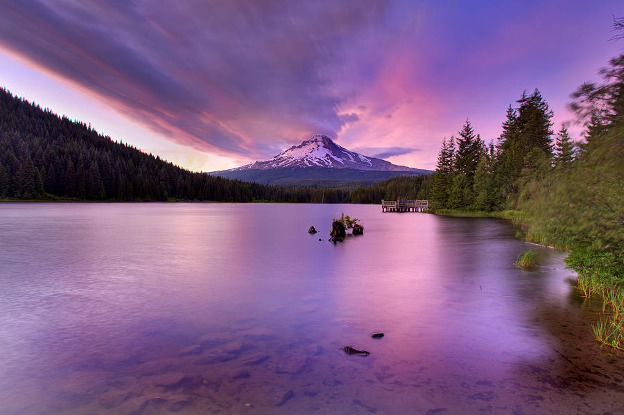 Trillium lake Photograph by Engin Tokaj - Fine Art America