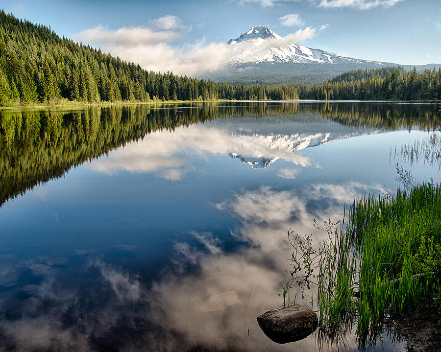 Trillium Lake Photograph by Gordon Banks - Fine Art America