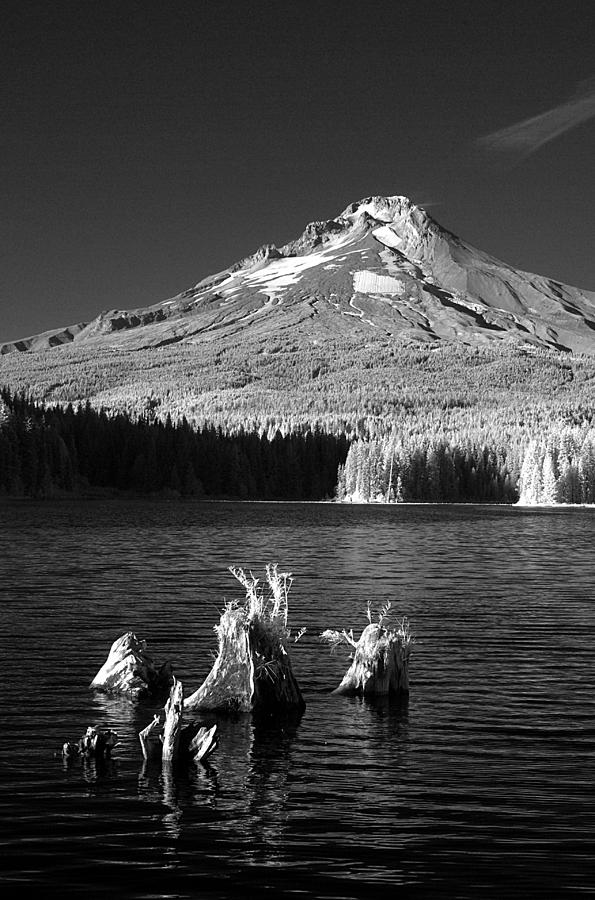 Trillium Photograph - Trillium Lake by Ken Dietz
