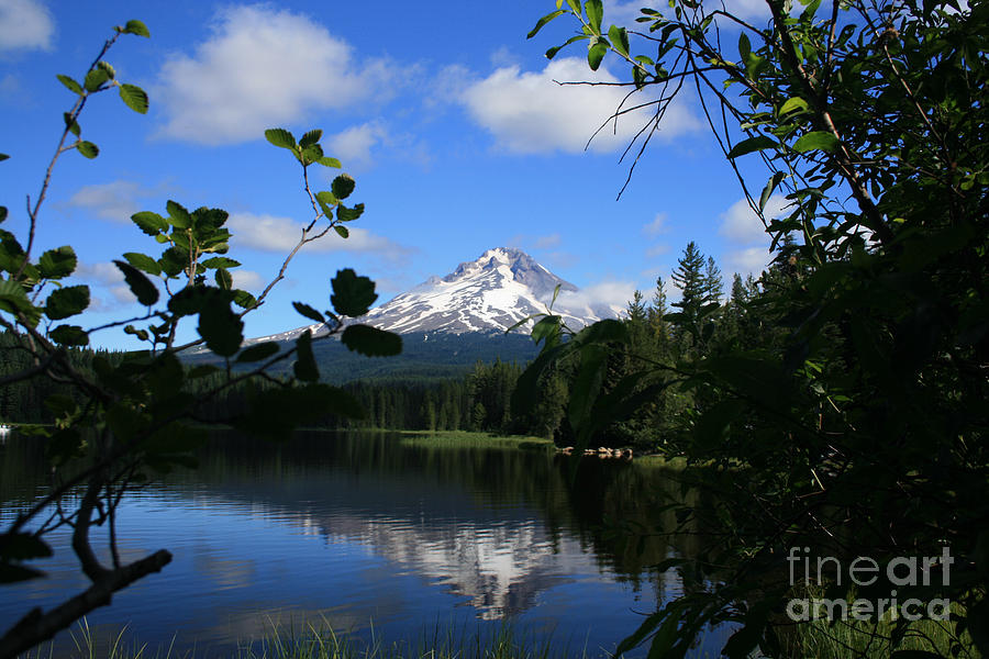 Trillium Lake with Mt. Hood  Photograph by Ian Donley