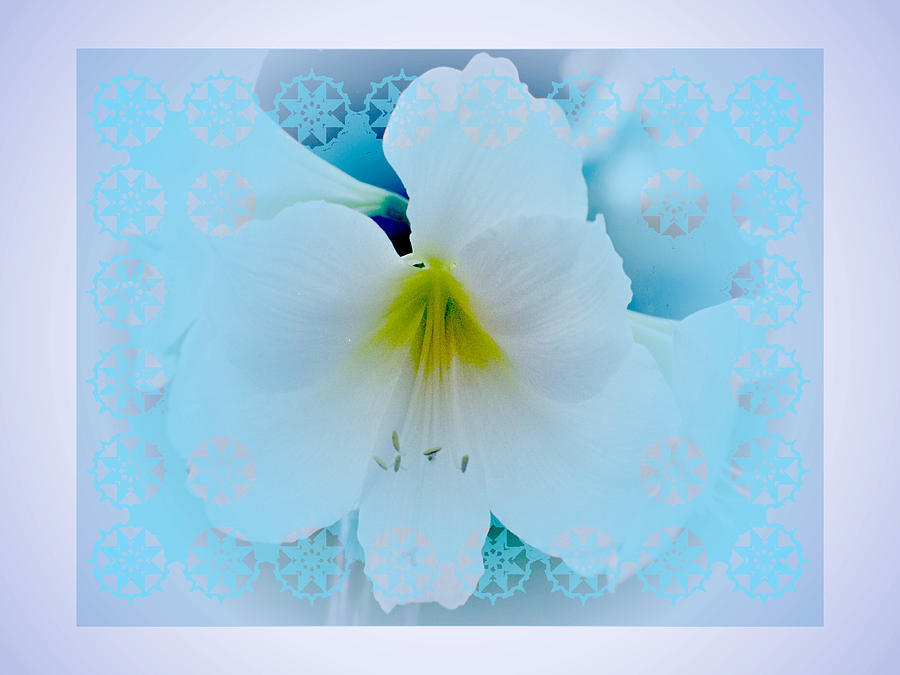 White Lily Digital Art by Larry Capra