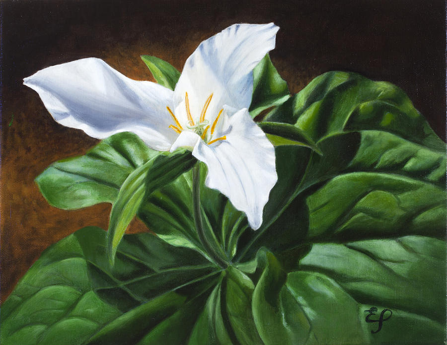 Flower Painting - Trillium - oil painting on canvas by Elena Polozova