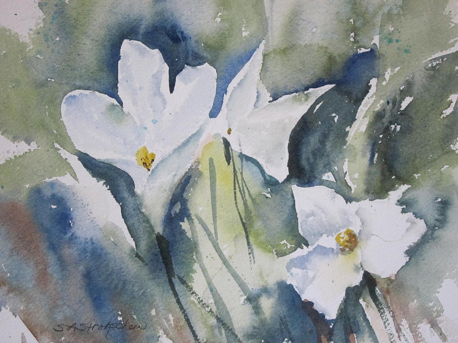 Flower Painting - Trillium by Sandra Strohschein