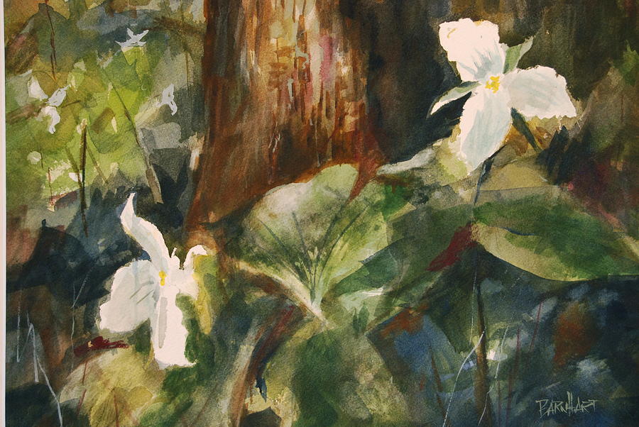 Flower Painting - Trillium Woods 3 by Duane Barnhart