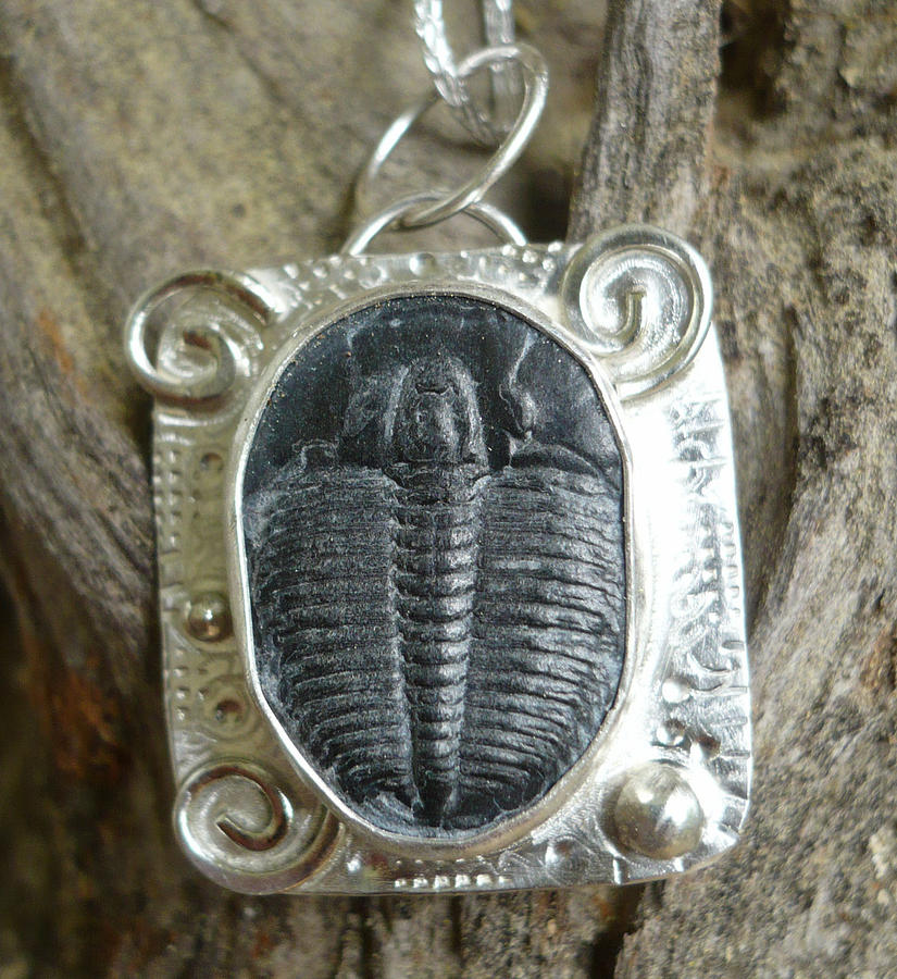 Trilobite pendant Jewelry by Arianna Bara - Fine Art America