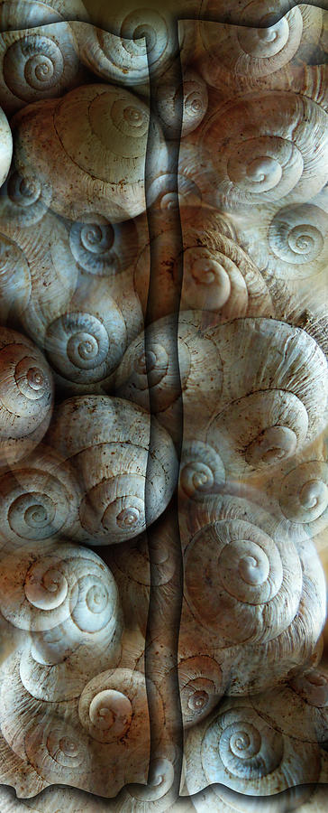 Fantasy Digital Art - Trimmed Snails by Florin Birjoveanu