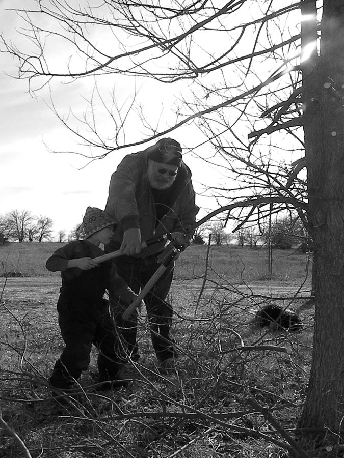 Trimming a Tree Photograph by Sheri Lauren