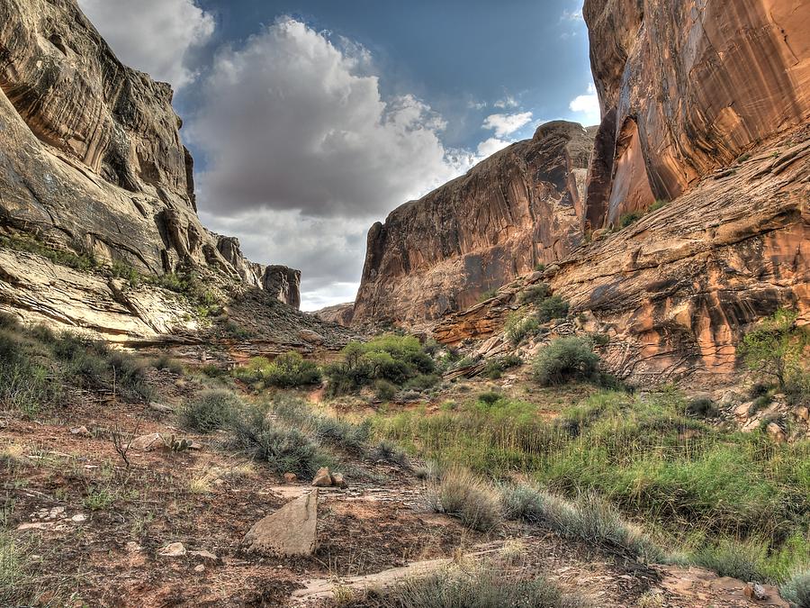 Landscape Photograph - Trin Alcove Canyon by Rivers End Photography By Ryan Fuette