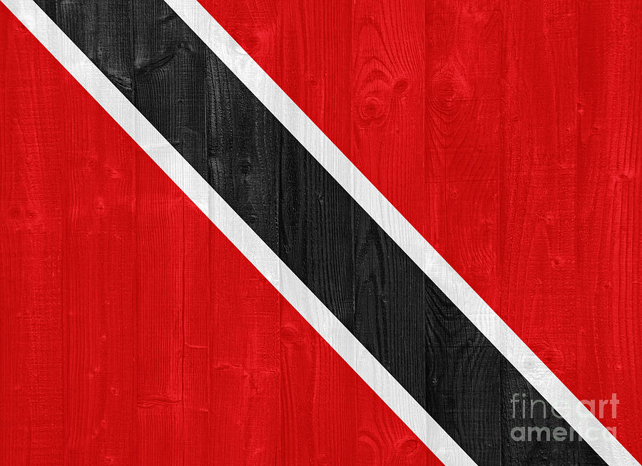 Sports Photograph - Trinidad and Tobago flag by Luis Alvarenga