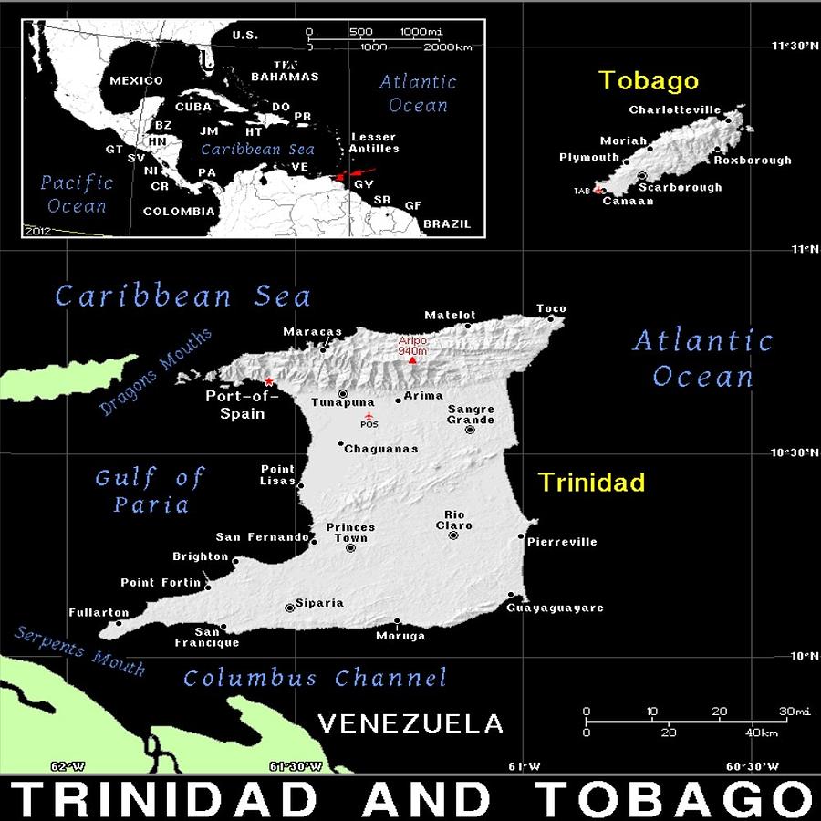 Trinidad And Tobago map Mixed Media by Florene Welebny
