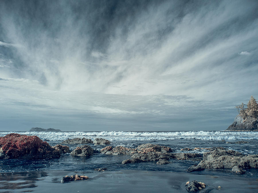 Trinidad State Beach in Infrared Photograph by Greg Nyquist