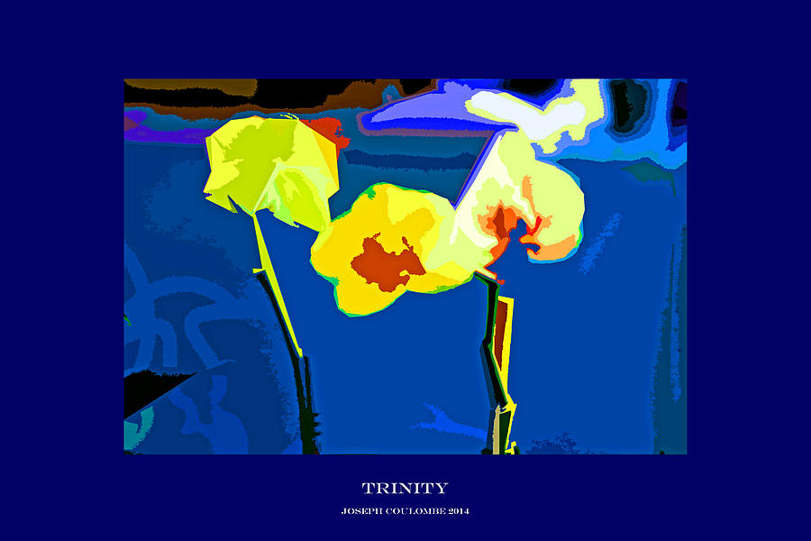 Flower Digital Art - Trinity Flowers by Joseph Coulombe