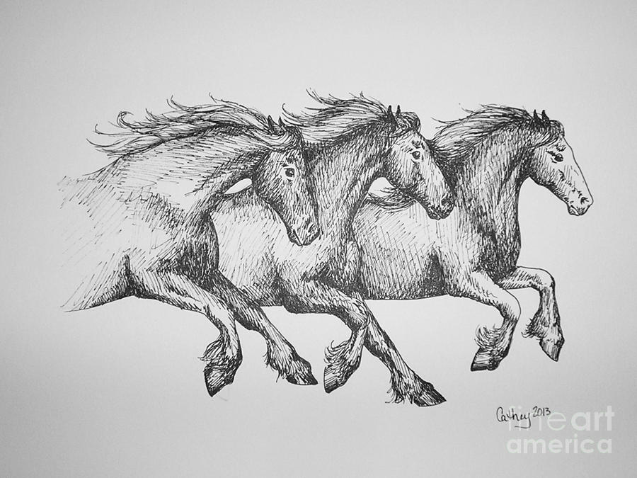 Trio Drawing by Catherine Howley
