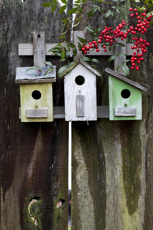 Nature Photograph - Trio of Birdhouses by Heather Reeder
