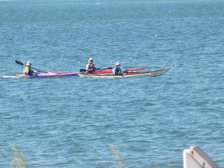 Trio of Kayakers Photograph by Catherine Gagne