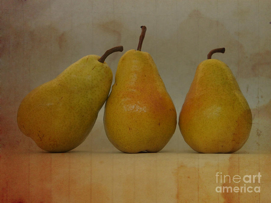 Trio of Pears Photograph by Jacklyn Duryea Fraizer