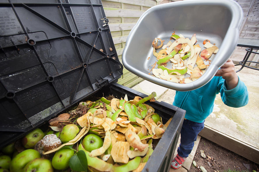 Trip to compost bin Photograph by Paul Mansfield Photography