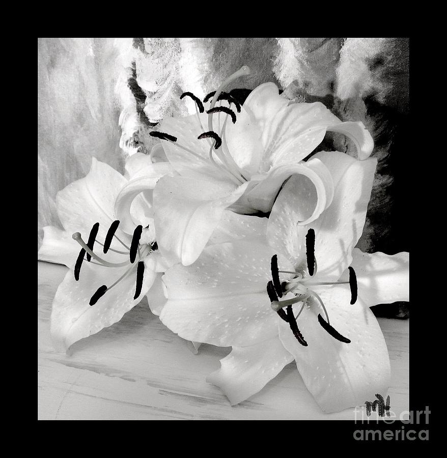 Black And White Photograph - Triple White Lilies by Marsha Heiken
