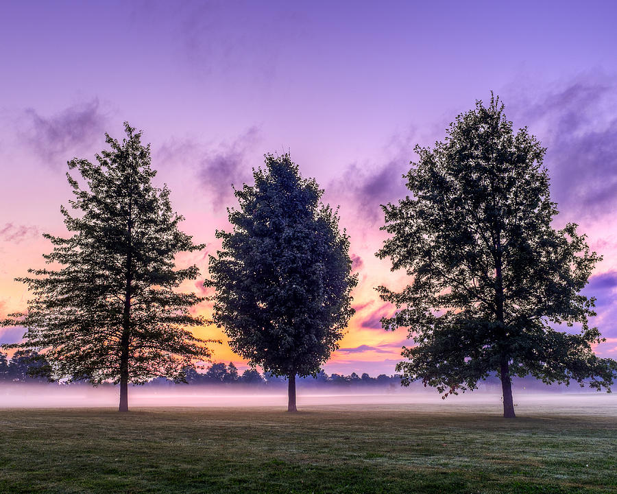 Triplets in morning fog Photograph by Chris Bordeleau