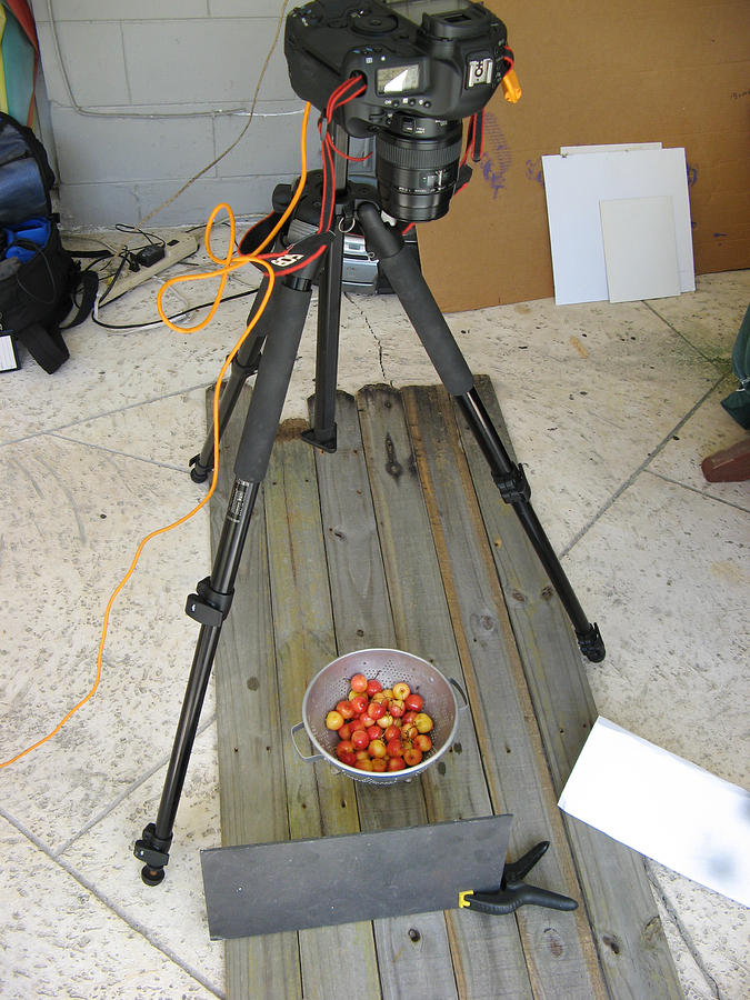 Tripod And Cherries On Floor Photograph by Rich Franco
