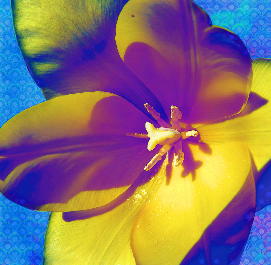 Trippy Tulip Digital Art by Shawna Rowe